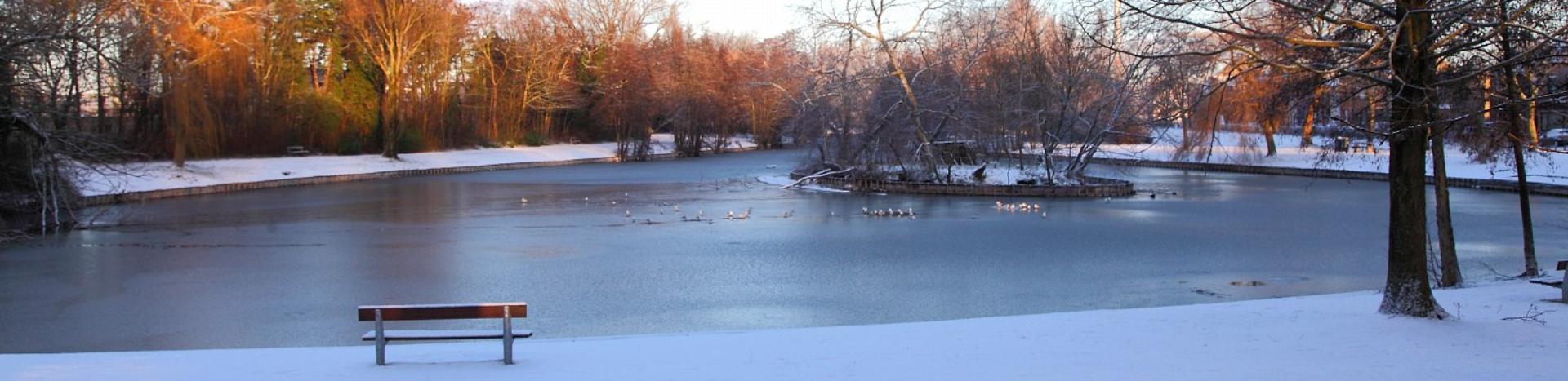 sneeuw visvijver - Zelzaatse visvijver in de sneeuw sneeuw visvijver - Zelzaatse visvijver in de sneeuw