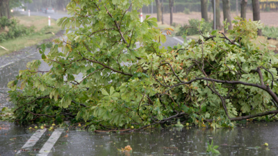 Code oranje voor storm - Code oranje voor storm -